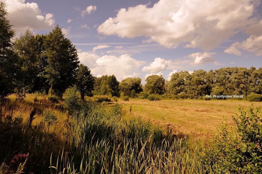 Villa Spełnione Marzenia Okuninka Esterno foto