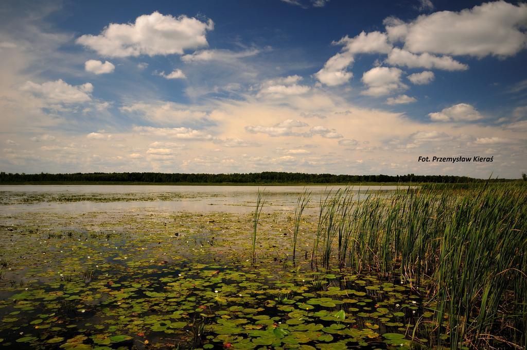 Villa Spełnione Marzenia Okuninka Esterno foto